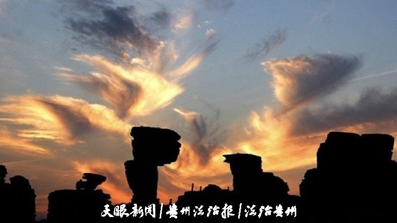 微信图片_20240723100529.jpg