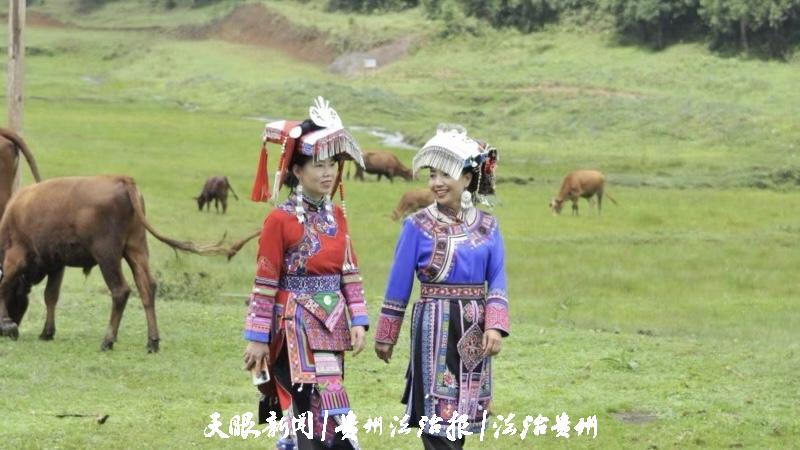 微信图片_20240724085716.jpg