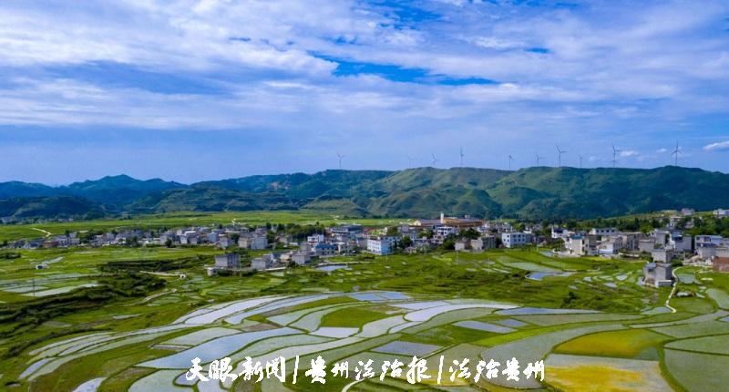 微信图片_20240801084745.jpg